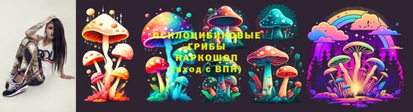 ГАЛЛЮЦИНОГЕННЫЕ ГРИБЫ Нязепетровск