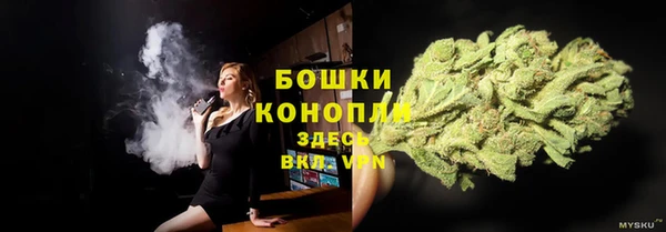 прущие крисы Новодвинск