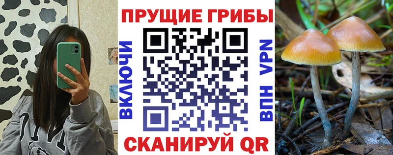 мега зеркало  Мензелинск  Галлюциногенные грибы мицелий 